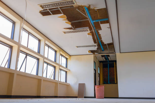 Best Water damage cleanup near me  in Kaibab Estates West, AZ