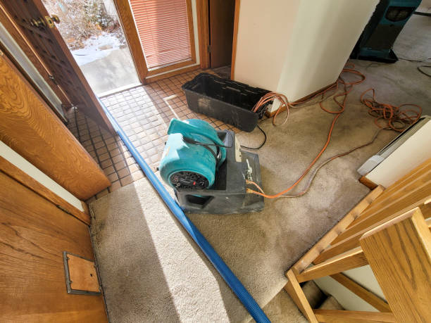 Best Carpet water damage restoration  in Kaibab Estates West, AZ