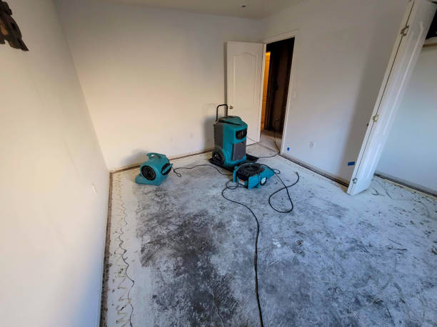 Best Residential water damage restoration  in Kaibab Estates West, AZ