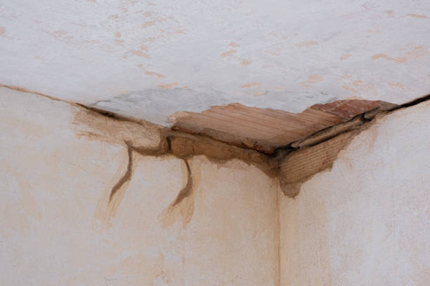 Best Flooded house restoration  in Kaibab Estates West, AZ