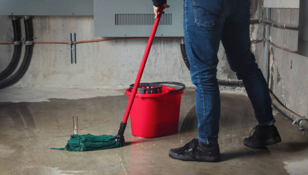 Best Mold removal after water damage  in Kaibab Estates West, AZ