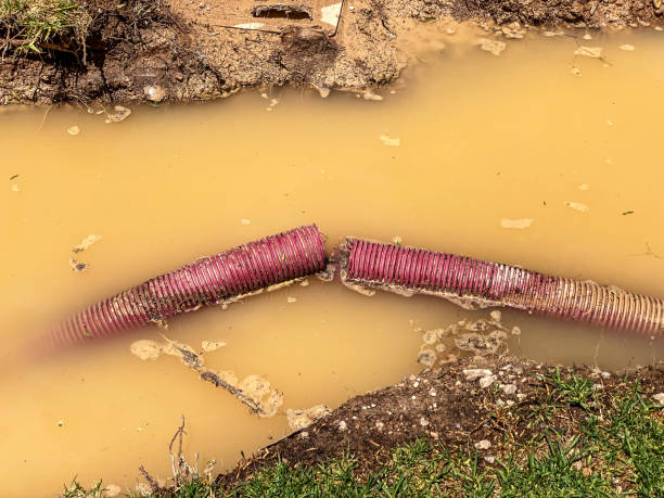 Best Flood damage cleanup  in Kaibab Estates West, AZ