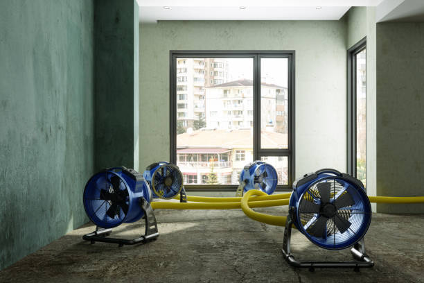 Best Commercial water damage restoration  in Kaibab Estates West, AZ